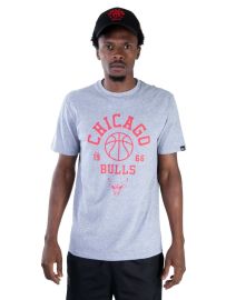 Camiseta NBA Chicago Bulls Cinza New Era - Masculina